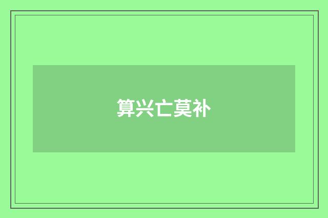 算兴亡莫补