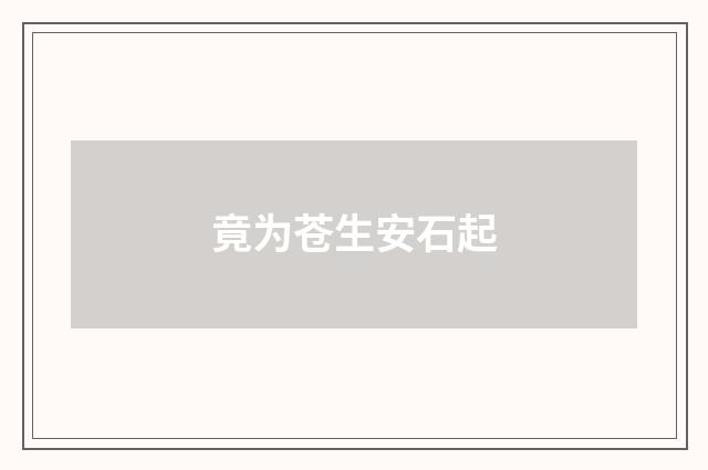 竟为苍生安石起