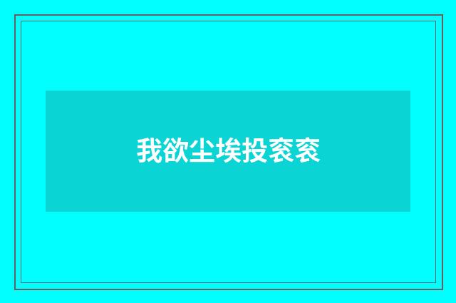 我欲尘埃投衮衮