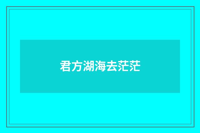君方湖海去茫茫