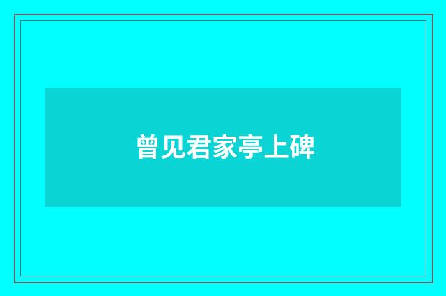 曾见君家亭上碑
