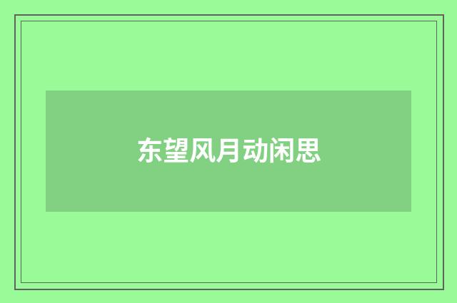 东望风月动闲思