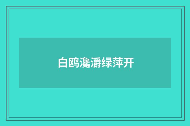 白鸥瀺灂绿萍开