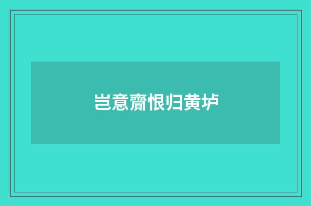 岂意齎恨归黄垆