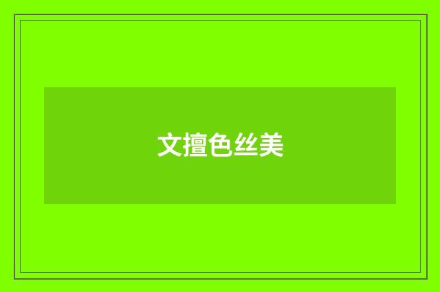 文擅色丝美