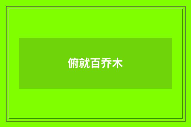 俯就百乔木