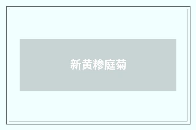 新黄糁庭菊