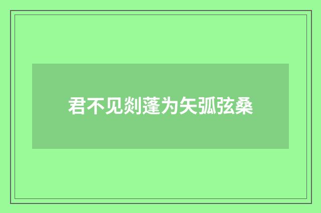 君不见剡蓬为矢弧弦桑
