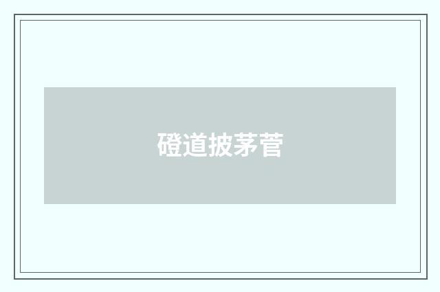 磴道披茅菅