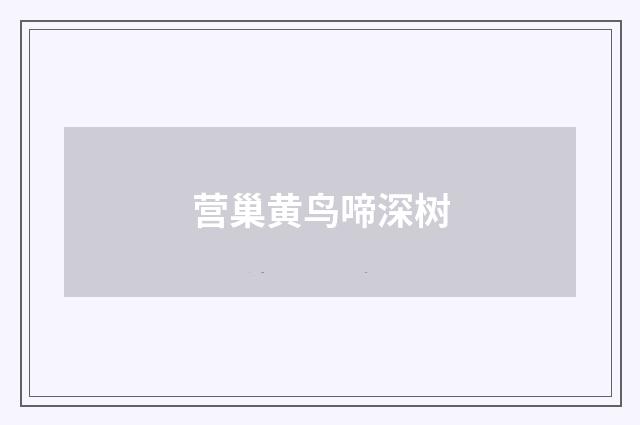 营巢黄鸟啼深树
