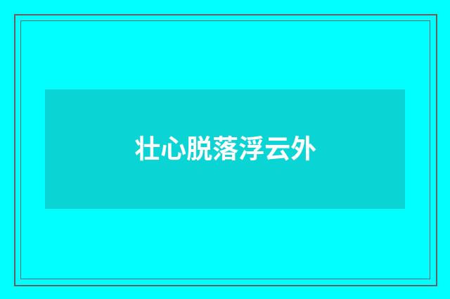 壮心脱落浮云外