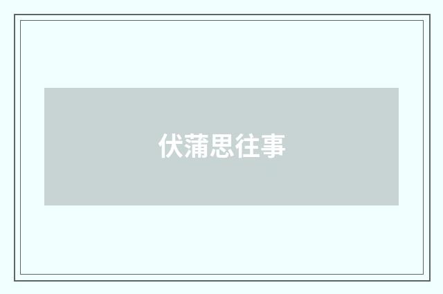 伏蒲思往事
