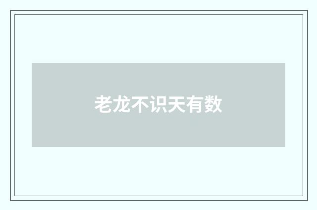 老龙不识天有数