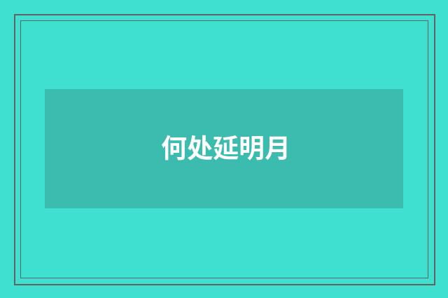 何处延明月