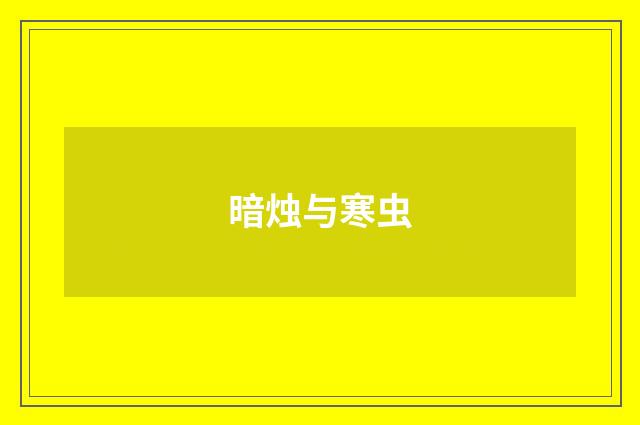 暗烛与寒虫