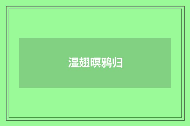 湿翅暝鸦归