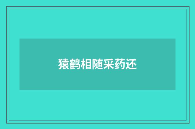 猿鹤相随采药还