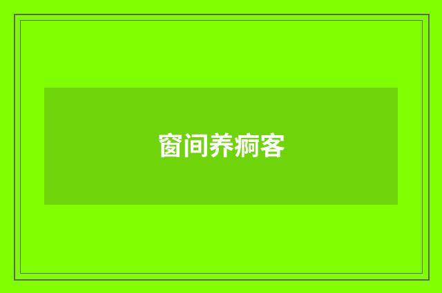 窗间养痾客