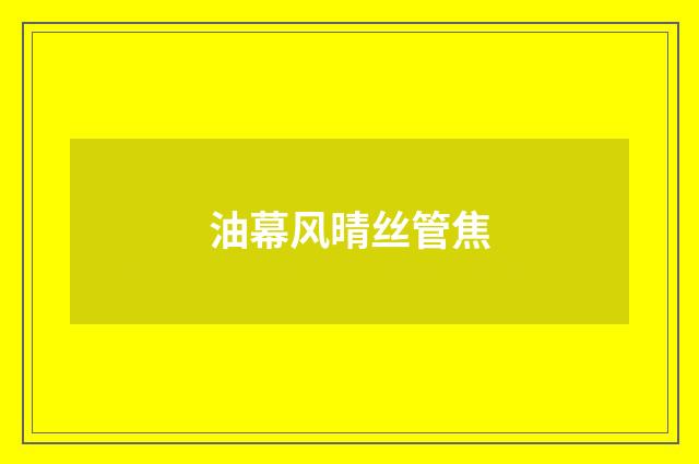 油幕风晴丝管焦