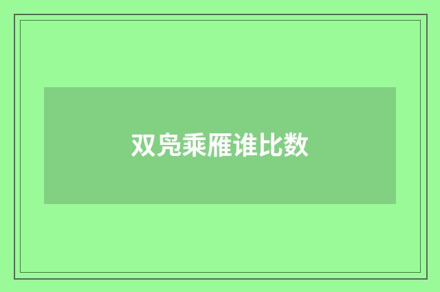 双凫乘雁谁比数