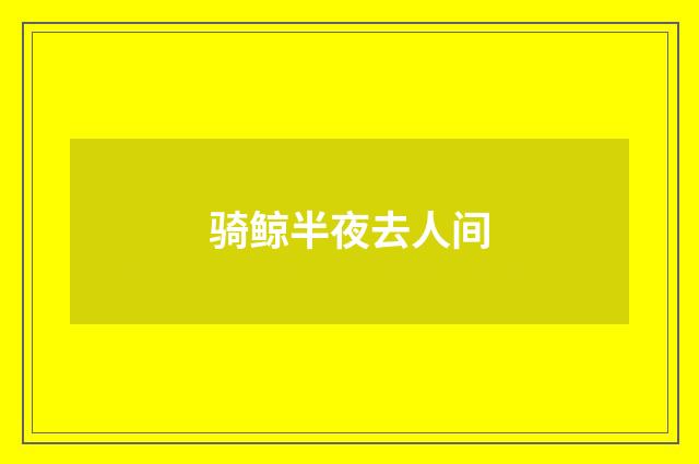 骑鲸半夜去人间