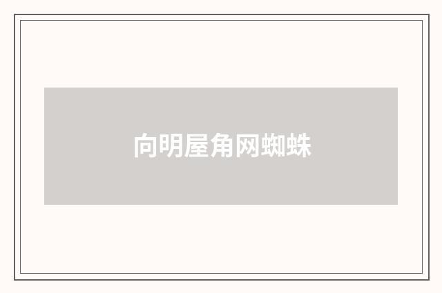 向明屋角网蜘蛛