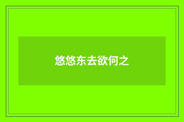 悠悠东去欲何之