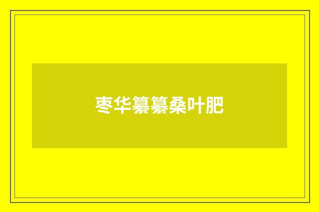 枣华纂纂桑叶肥