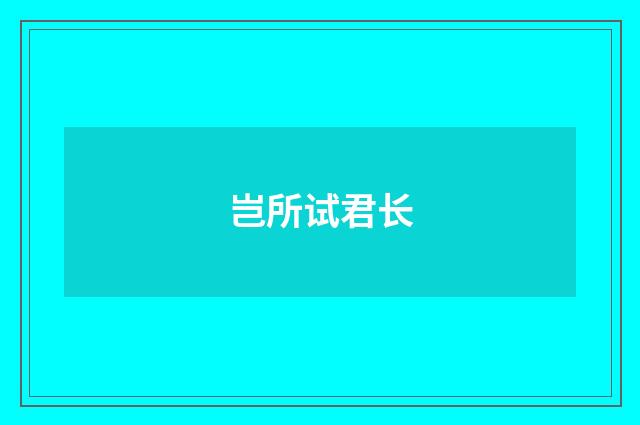 岂所试君长