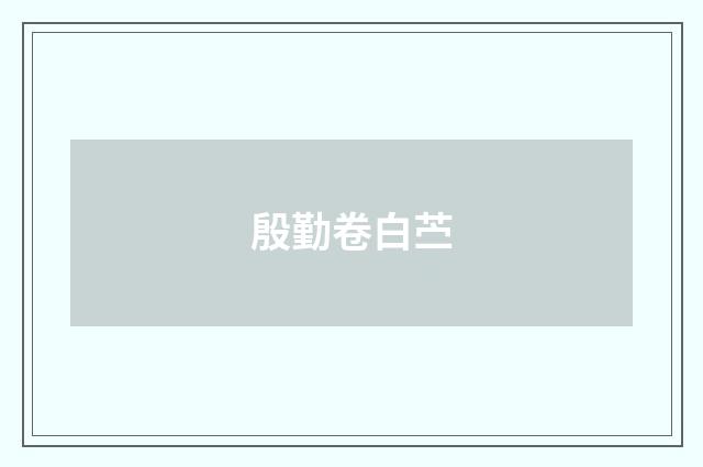 殷勤卷白苎