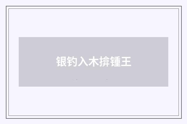 银钓入木揜锺王