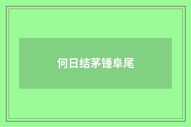 何日结茅锺阜尾