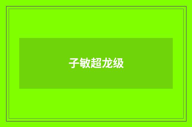 子敏超龙级