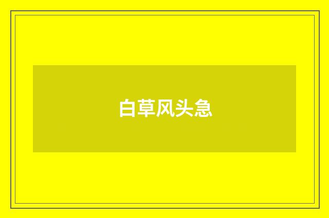 白草风头急