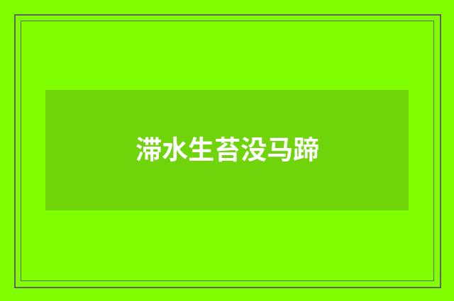 滞水生苔没马蹄