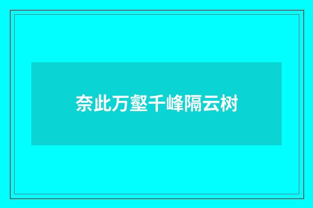 奈此万壑千峰隔云树