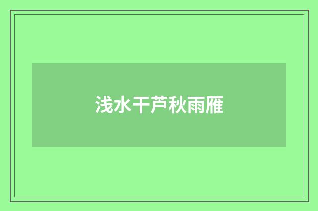 浅水干芦秋雨雁