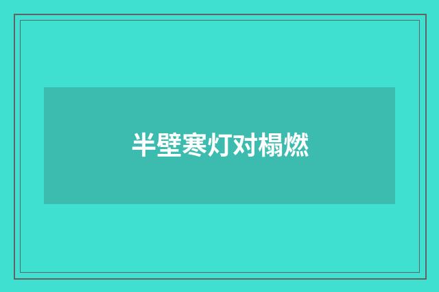 半壁寒灯对榻燃
