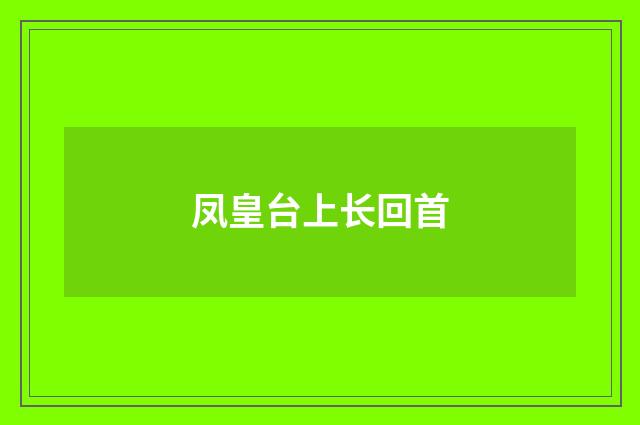 凤皇台上长回首