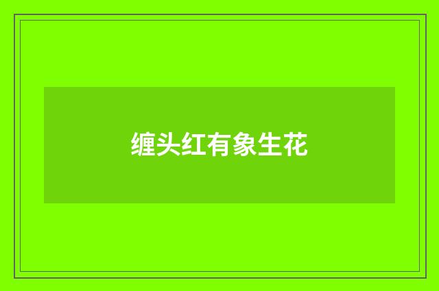 缠头红有象生花