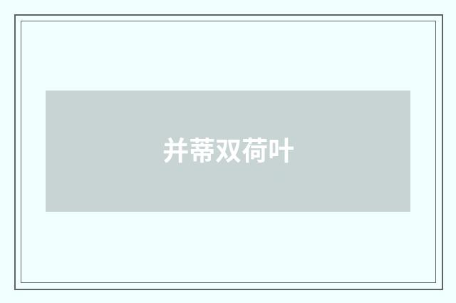 并蒂双荷叶