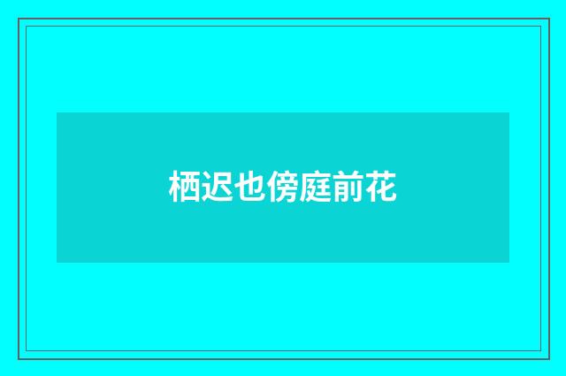 栖迟也傍庭前花