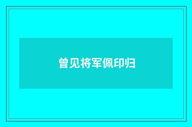 曾见将军佩印归