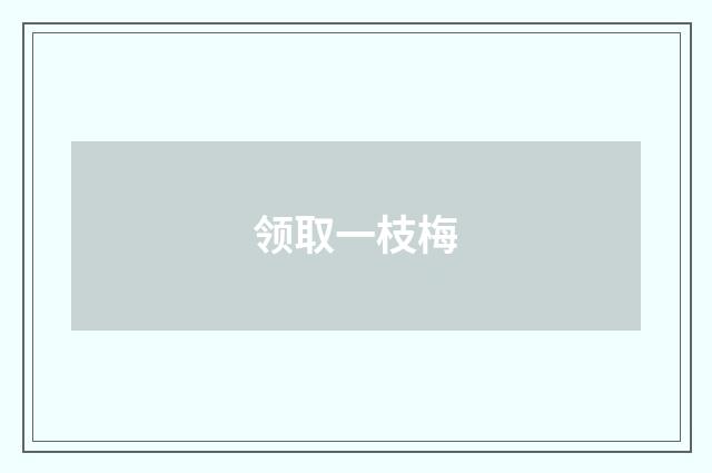 领取一枝梅