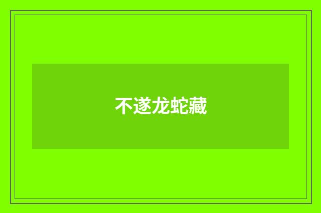 不遂龙蛇藏