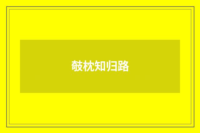 攲枕知归路