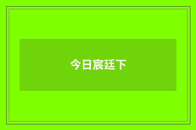 今日宸廷下