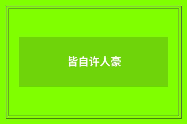 皆自许人豪