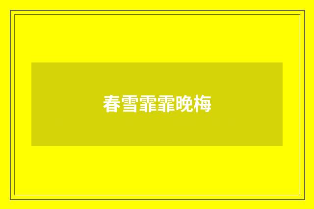 春雪霏霏晚梅