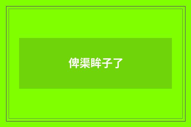 俾渠眸子了